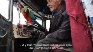 Старик-Дальнобойщик с попугаем на Kenworth 1962 года