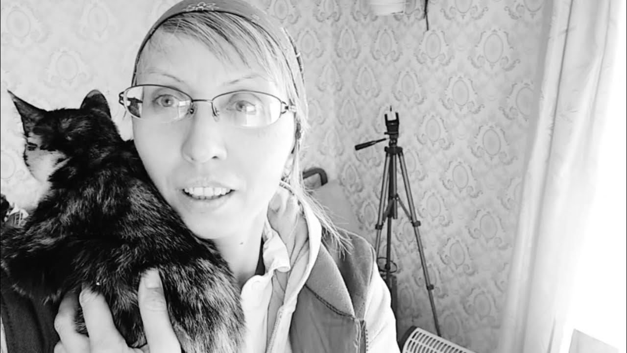 Купила старый дом в деревнеИЗ ГОРОДА В ДЕРЕВНЮ ОДНА В деревне УБОРКА на участке смотреть онлайн