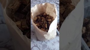 Лакомство  для собак  из натурального продукта, в этом видео представлен, говяжье лёгкое