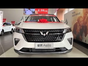 Новый Китайский ВуЛинг Аста 2022