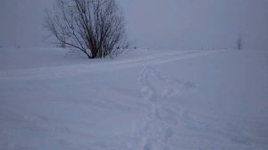 Стелс капитан200(150) По глубокому снегу + тяговые способности .(Пробег1000км)