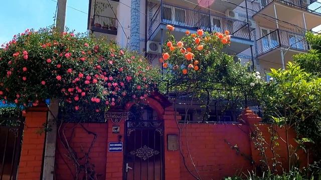 Переулок Октябрьский, просто рай! Тут домик в цветах "Карусель" июнь 2022?ЛАЗАРЕВСКОЕ СЕГОДНЯ смотреть онлайн