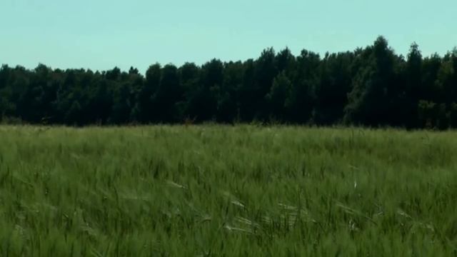 Музыка, 1 класс: Музыка народного праздника