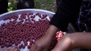 Турецкий свадебный суп Азербайджанская Кухня Деревенская Кухня  Рецепты