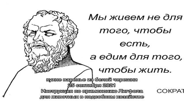 Выращивание ананаса и производство цукатов из него смотреть онлайн