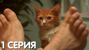 Котострофа 1 серия обзор