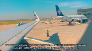 К чему снится разбиться на машине? Толкование сна и его значение по сонникам Хассе и Миллера