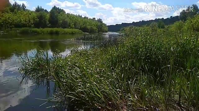 Хопёр в с. Мошки. Бековский район, Пензенская область.12.06.2022г. смотреть онлайн