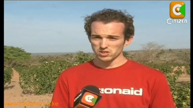 Jatropha Projects Row смотреть онлайн