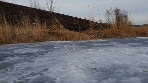 Плотва со льда 2021. Нашел плотву и наловил в глухозимье. Село Артемовка, Донецкая область отчет