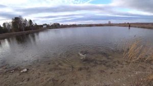 Трофейная ЩУКА и ОКУНИ на СПИННИНГ. Рыболовный комплекс РК Азарт! Рыбалка дропшот ловля щуки и окун