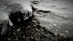 10 САМЫХ ГЛУПЫХ И НЕЛЕПЫХ СМЕРТЕЙ. БЕЗУМНЫЕ НОМИНАНТЫ ПРЕМИИ ДАРВИНА