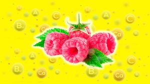 МАЛИНА — природное лекарство / Полезные свойства МАЛИНЫ / Чем полезна МАЛИНА