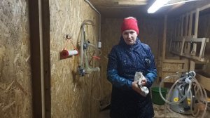 КОЗИЙ САРАЙ. КАК ПОСТРОТЬ ДЛЯ КОЗ САРАЙ