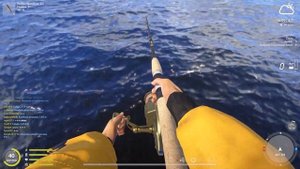 РР4. Где ловить Трофей Менёк на Норвежском море!? ФАРМ 700 серы за час.