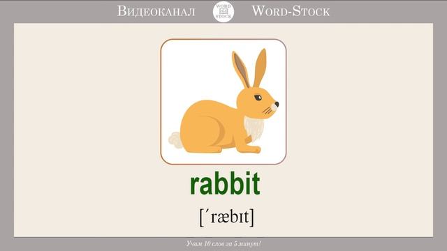 Дикие животные на английском. Часть 1 смотреть онлайн