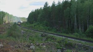 Движение грузовых поездов на тепловозной тяге в районе станции Гвардейское, 2007-2009 г.