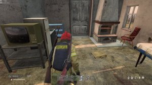 DayZ