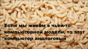 Если мы живём в чьей-то компьютерной модели, то этот компьютер аналоговый