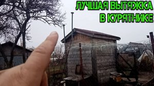 ЛУЧШАЯ ВЫТЯЖКА В КУРЯТНИКЕ