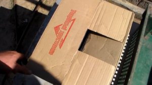 Правила транспортировки цыплят.Мои первые доминанты.