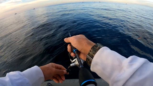 #ставрида и #луфарь в Крыму в Судаке с лодки смотреть онлайн