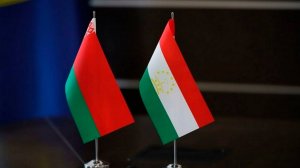 МВД  Таджикистана и Беларуси начали сотрудничество в сфере борьбы с преступностью