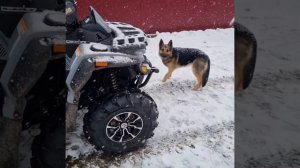 Сломался новый Стелс Гепард 800куб.2.0 .85км.пробег.