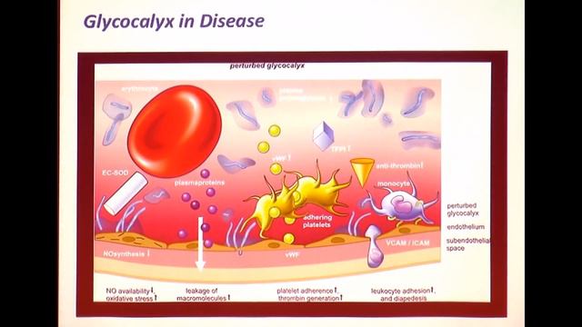 Omega 3 / Omega 6 och dessas roll i inflammation смотреть онлайн