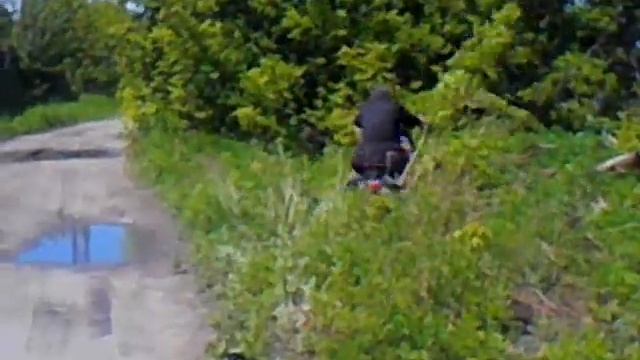 Во дурак))) смотреть онлайн