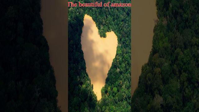 the beautiful of amazon forest and amazon river #shots