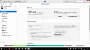 Как узнать уникальный идентификатор UDID iPhone