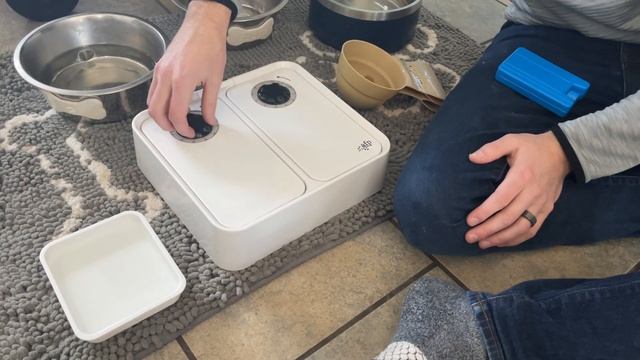 All for Paws Automatic Cat Feeder 2 Meal Dog Feeder, Dry and Wet Food Dispenser with 48-Hour Timer смотреть онлайн