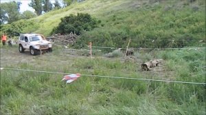 Нива "Нежный экспресс"