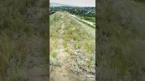 #БЕРЕГ ВОЛГИ МОРДОВО КРАСНОАРМЕЙСК САРАТОВСКАЯ ОБЛ#МНЕ БЫ ТОЛЬКО ЗНАТЬ ЧТО,ТЫ ЖИВЕШЬ#мой тикток #🤗