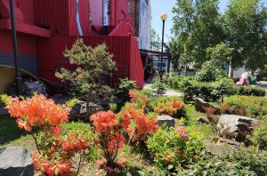 Театральный сквер , Семеновская. Владивосток