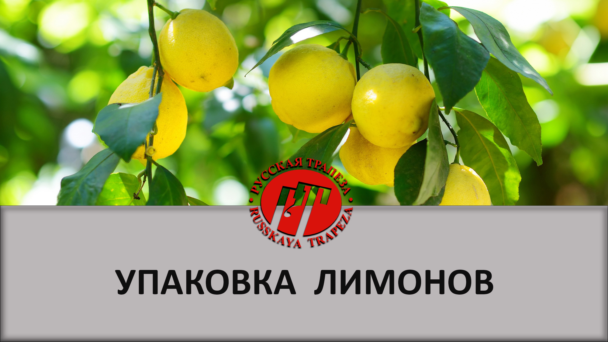 Упаковка лимонов на упаковочной машине РТ-УМ-ГШ Серво-М.mp4