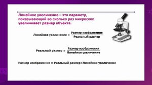Биология. 11 класс. Расчет линейного увеличения органелл /15.01.2021/