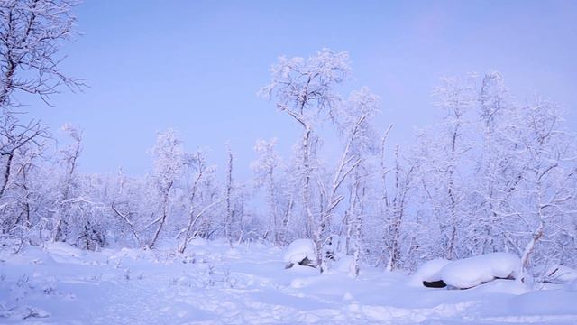 Simplifying Life During The Dark Nordic Winter смотреть онлайн