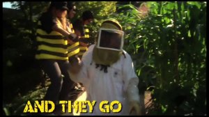 Тестовое видео в поддержку Пчел