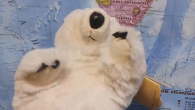 2585 Мягкая игрушка Медведь полярный, 31см, Folkmanis смотреть онлайн