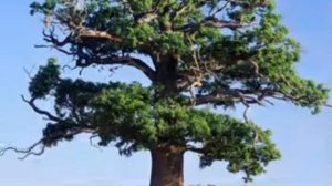 Be A Friend - Edgar A. Guest