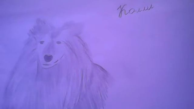 Расказ о колли смотреть онлайн