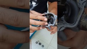 Honda CBR 900 RR2 954 RR Fireblade Leaking Water Pump Repair - 04. Propeler and Mechanical Seal