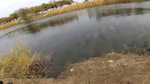 Кораблик для рыбалки своими руками - испытание на водоеме (часть 3)