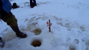 #Рыбалка в Салехарде/Ловим щурогайку