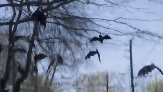 Слэппи отделывается от хулиганов прикол 2018 Ужастики 2: Беспокойный Хеллоуин 2018