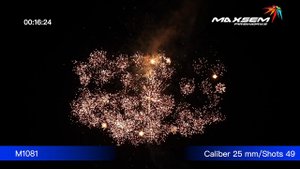 M1081