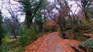 ПРОГУЛКА В МАССАНДРОВСКИЙ ПАРК УЛИЦА ДРОЖИНСКОГО ЯЛТА КРЫМ