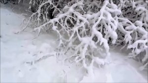 Ой, завьюжило, запорошило
